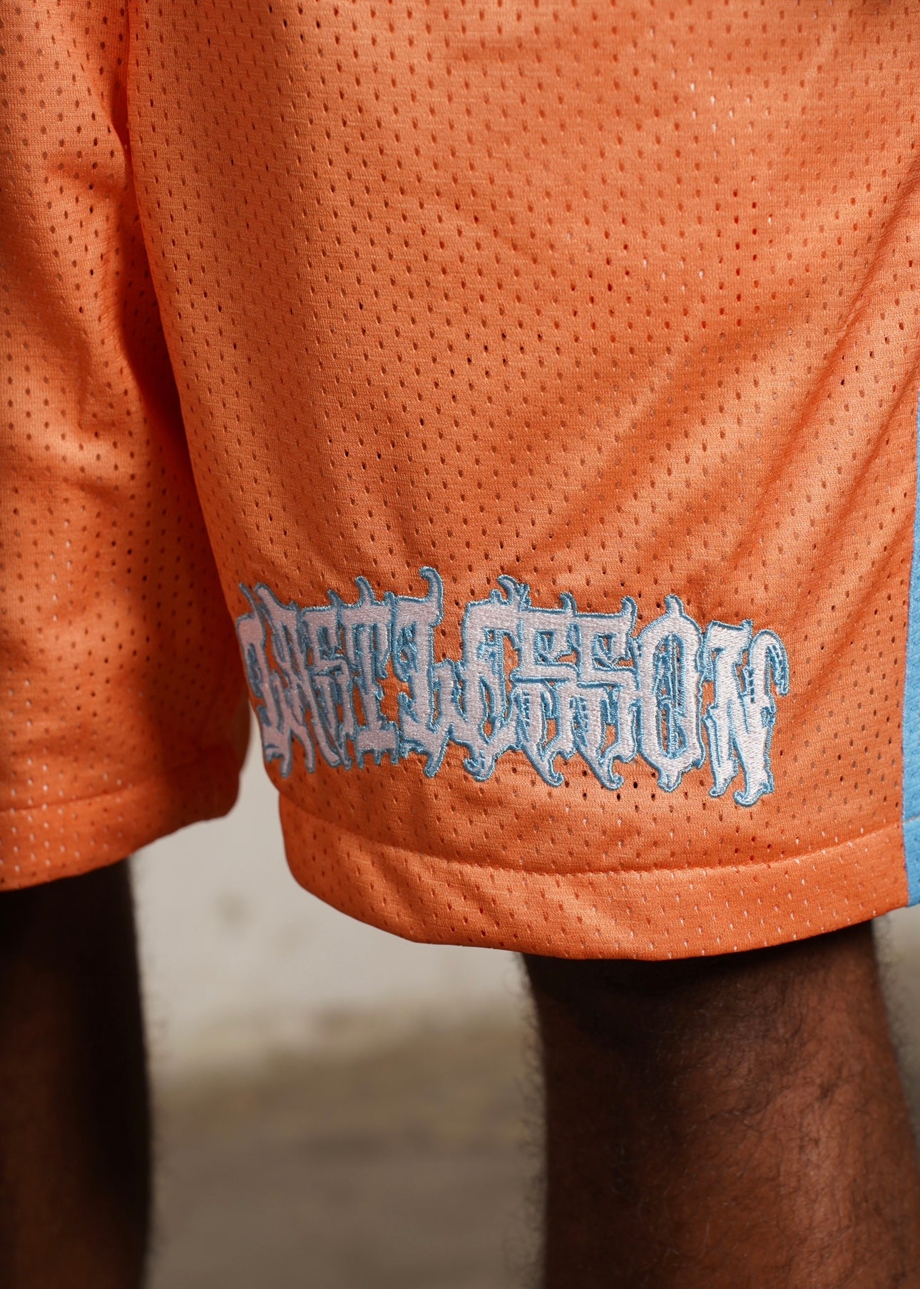 Dolphins Mesh Shorts